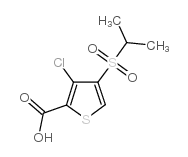 3-氯-4-(异丙基磺酰基)噻吩-2-羧酸