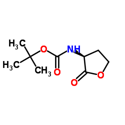 (S)-(-)-alpha-(Boc-氨基)-gamma-丁酸内酯 (40856-59-5)