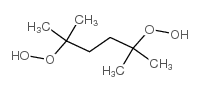 2,5-二甲基正己烷-2,5-二甲羟基过氧化物