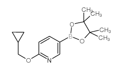 2-(环丙基甲氧基)-5-(4,4,5,5-四甲基-1,3,2-二杂氧戊硼烷-2-基)吡啶 (947191-69-7)