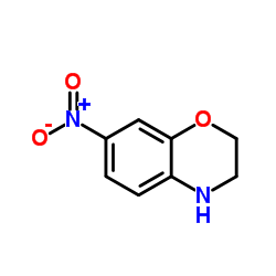 7-硝基-3,4-二氢-2H-1,4-苯并异噁嗪
