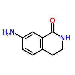7-氨基-3,4-二氢异喹啉-1(2H)-酮 (66491-03-0)