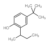 2-仲基-4-叔丁基苯酚