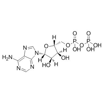 腺苷-5'-二磷酸