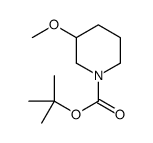 3-甲氧基哌啶-1-羧酸叔丁酯