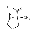 (S)-2-甲基-2-吡咯烷羧酸