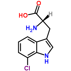 7-氯色氨酸
