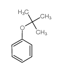 叔丁基苯醚 (6669-13-2)