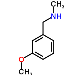 N-甲基-3-甲氧基苄胺