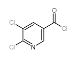2,3-二氯吡啶-5-羰酰氯
