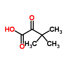 3，3-二甲基-2-氧代丁酸 98.0%