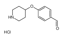 4-(4-哌啶基氧基)苯甲醛盐酸盐