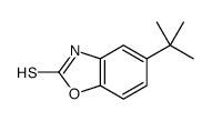 5-叔丁基-苯并噁唑-2-硫醇 (53146-48-8)