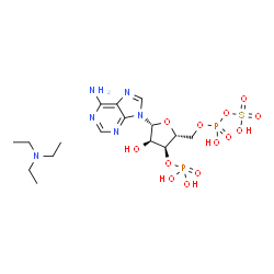腺苷 3′-磷酸 5′-磷酰硫酸 三乙铵盐