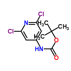 N-Boc-4-氨基-2,6-二氯吡啶 (501907-61-5)