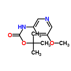 3-BOC-氨基-5-甲氧基吡啶