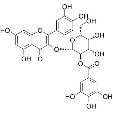 2"-O-没食子酰基金丝桃苷