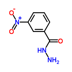 3-硝基苯酰肼