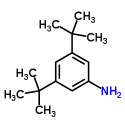 3,5-二叔丁基苯胺