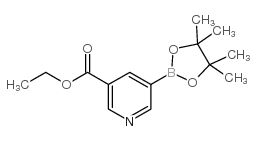 5-(4,4,5,5-四甲基-1,3,2-二氧硼杂环戊烷-2-基)烟酸乙酯