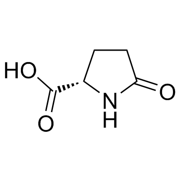 L-焦谷氨酸 98.0%