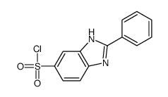 2-苯基-1H-苯并咪唑-5-磺酰氯