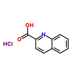 2-喹啉羧酸盐酸盐