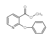 2-苯氧基烟酸甲酯