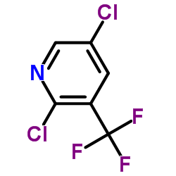2,5-二氯-3-(三氟甲基)吡啶