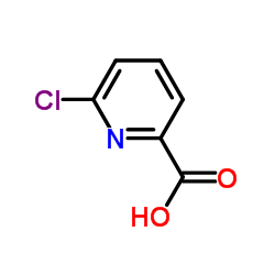6-氯吡啶-2-羧酸 97.0%