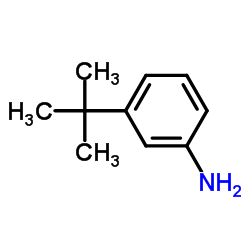 3-叔丁基苯胺 (5369-19-7)