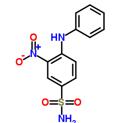 3-硝基-4-(苯氨基)苯磺酰胺