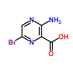 3-氨基-6-溴吡嗪-2-甲酸 (486424-37-7)