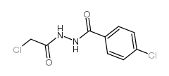 4-氯-n-(2-氯乙酰基)苯碳酰肼
