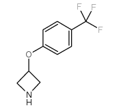 3-[4-(三氟甲基)苯氧基]氮杂环丁烷