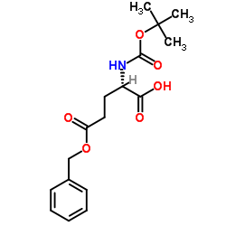 N-叔丁氧羰基-L-谷氨酸 5-苄酯