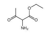 2-氨基-3-氧代丁酸乙酯