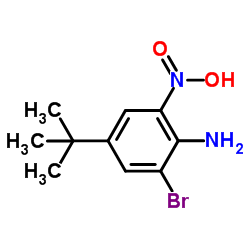 2-硝基-4-叔丁基-6-溴苯胺