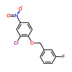 3-氯-4-(3-氟苄氧基)硝基苯 (443882-99-3)