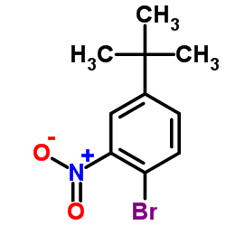 1-溴-4-叔丁基-2-硝基苯