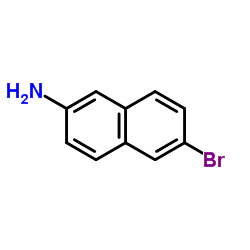6-溴-2-氨基萘 (7499-66-3)