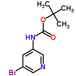 5-溴吡啶-3-甲酸叔丁酯