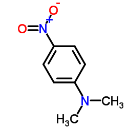N,N-二甲基-P-铌三阿呋喃