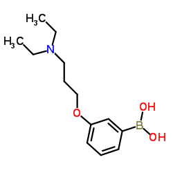 (3-(3-(二乙胺基)丙氧基)苯基)硼酸