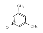 3,5-二甲基吡啶N-氧化物