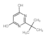 2-叔丁基-4,6-二羟基嘧啶