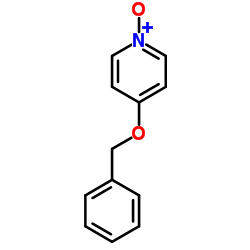 4-苄氧基吡啶 N-氧化物