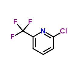 2-氯-6-三氟甲基吡啶 97.0%