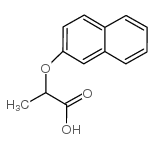 2-(2-萘氧基)丙酸