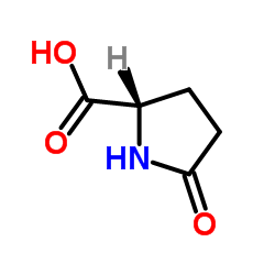 d-焦谷氨酸